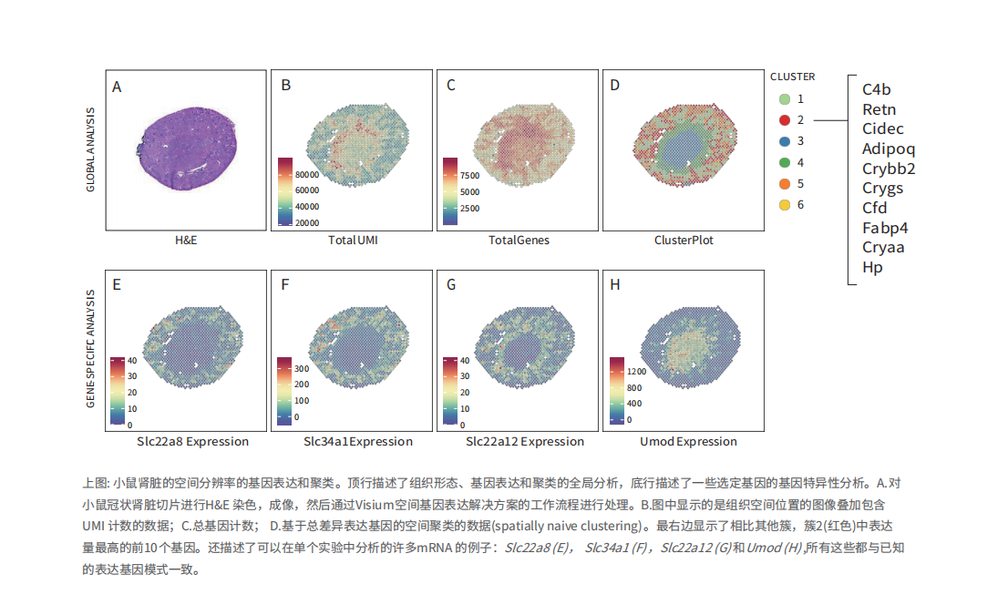 1604632543305505.png 4.png