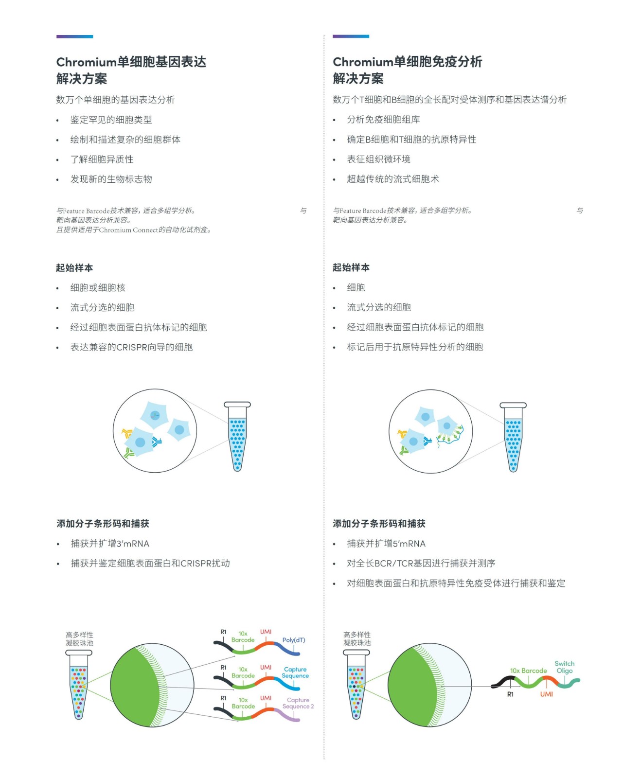 1634279033274887.jpg 1634279033274887.jpg