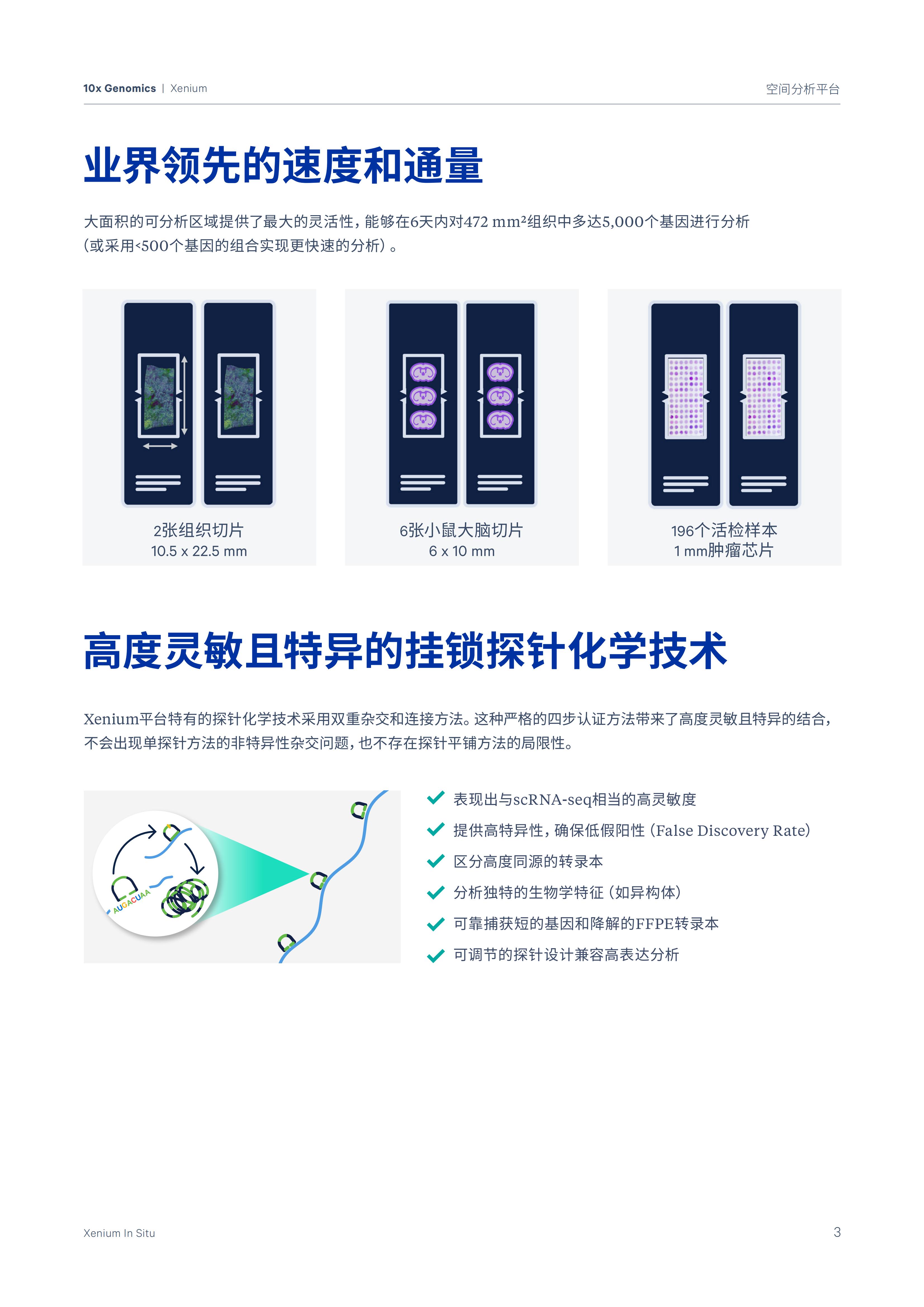 1732259734437547.jpg 1732259734437547.jpg