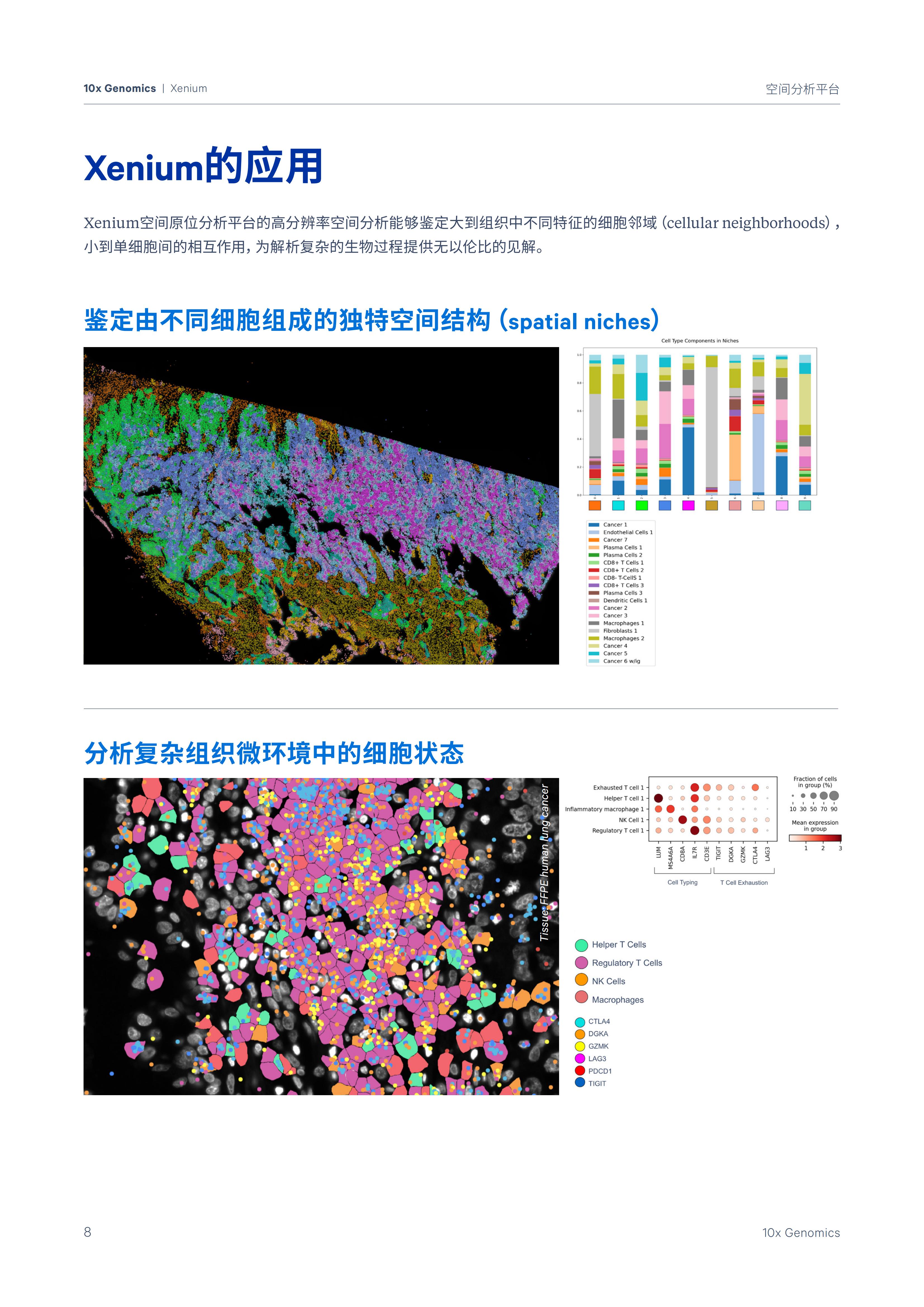 1732260022409232.jpg 1732260022409232.jpg