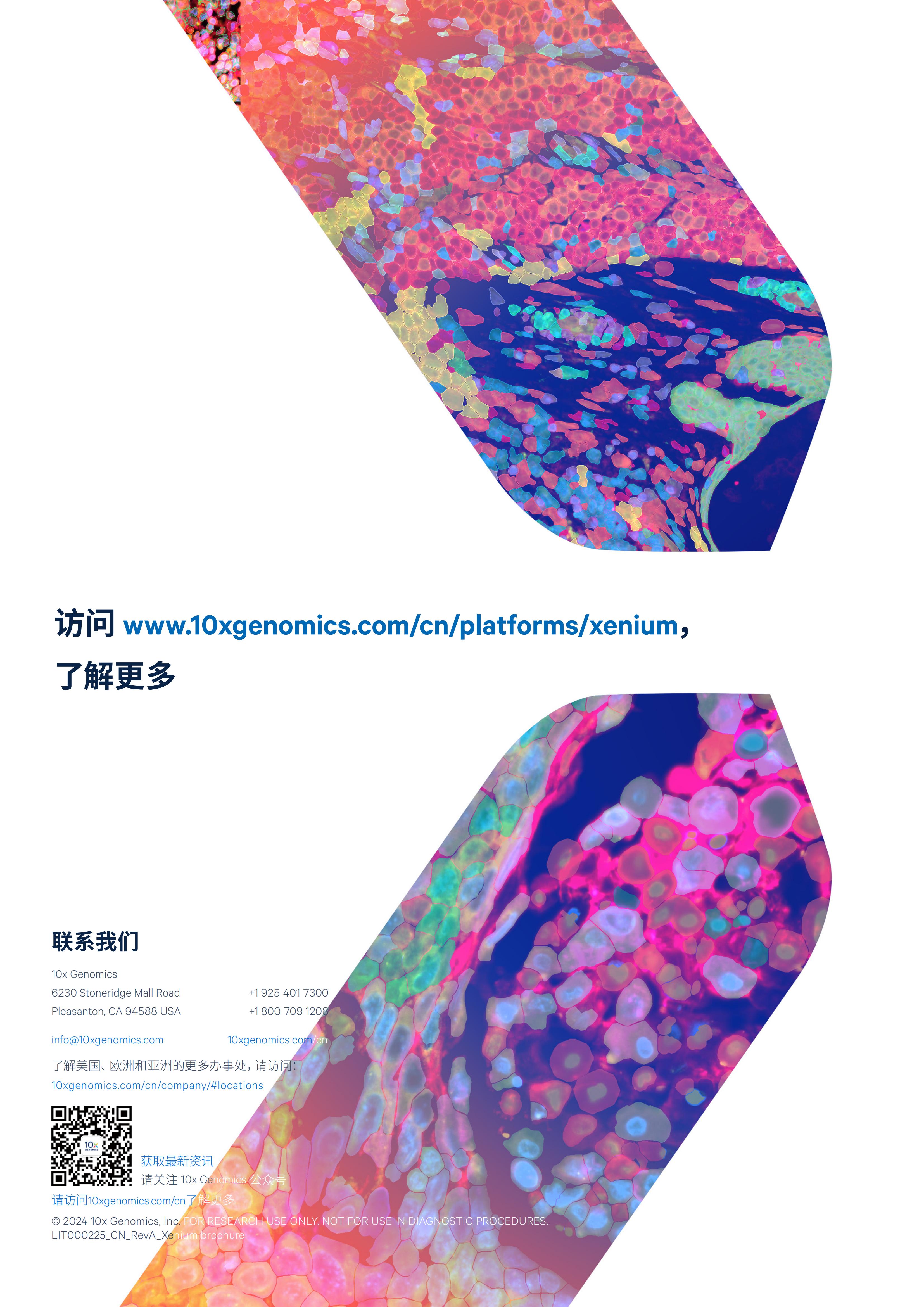 1732260143267614.jpg 1732260143267614.jpg